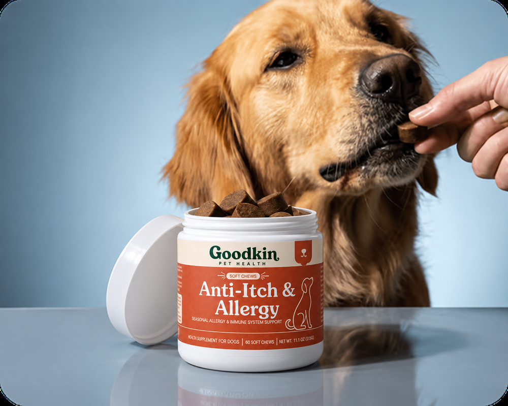 Golden retriever taking a Goodkin soft chew next to the tub