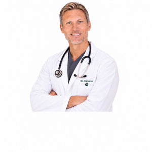 Dr. Cooper, DVM