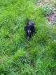 Dolly's Mum
