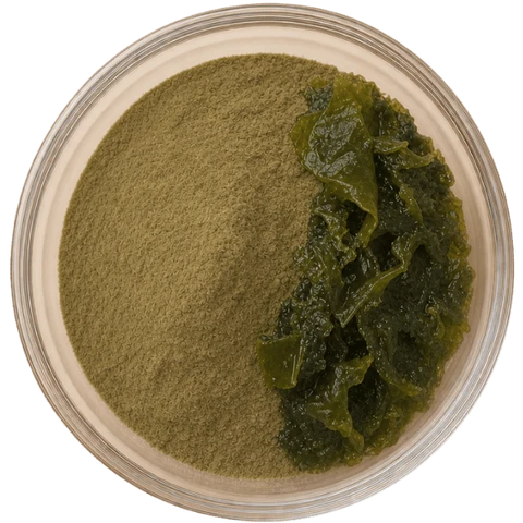 Seaweed Meal (Ascophyllum nodosum)