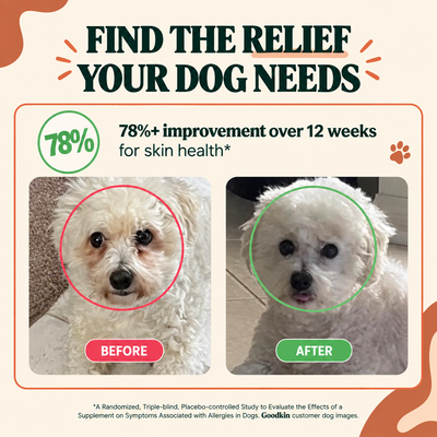 Anti-Itch & Allergy Treats