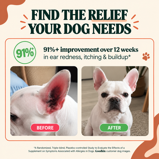 Anti-Itch & Allergy Treats