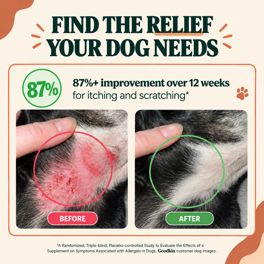 Anti-Itch & Allergy Treats