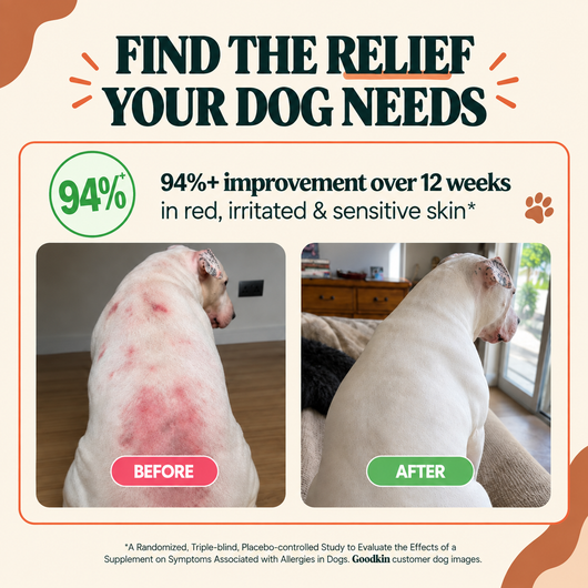 Anti-Itch & Allergy Treats