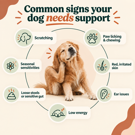 Anti-Itch & Allergy Treats