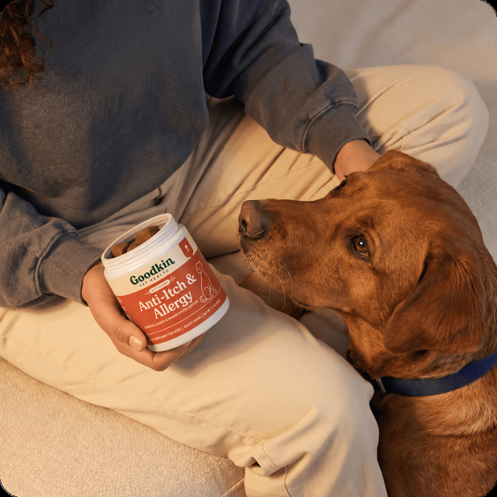 Dog resting on its owner while they hold a tub of Goodkin Anti-Itch & Allergy