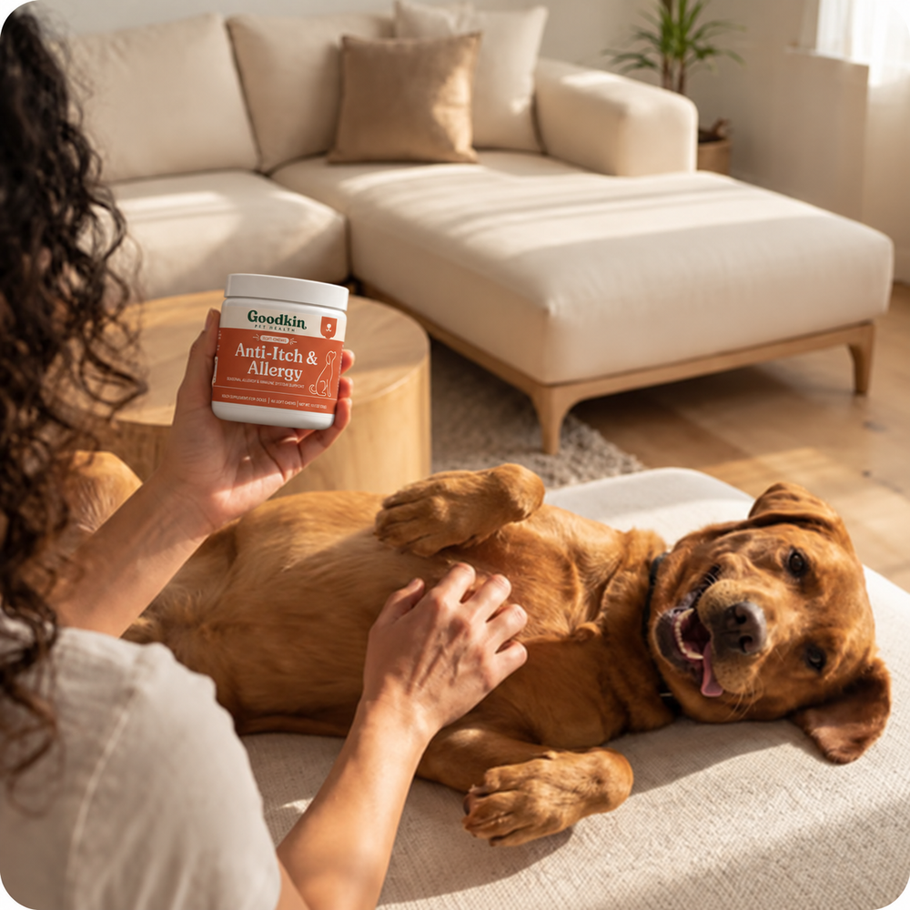 Happy dog getting a belly rub while its owner holds a tub of Goodkin Anti-Itch & Allergy