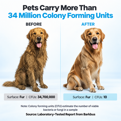 Advanced 7-in-1 Pet Grooming Kit
