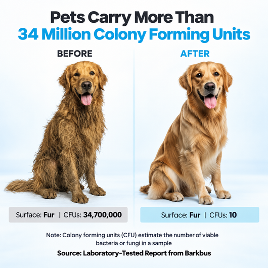 Advanced 7-in-1 Pet Grooming Kit