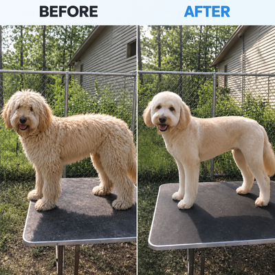 Advanced 7-in-1 Pet Grooming Kit