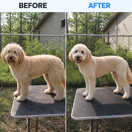 Advanced 7-in-1 Pet Grooming Kit