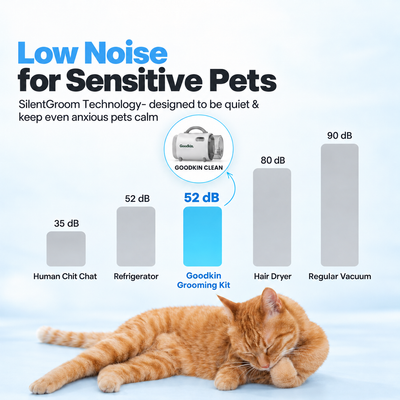 Advanced 7-in-1 Pet Grooming Kit
