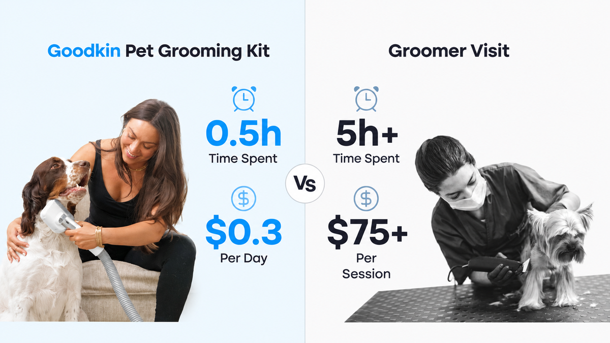 Save Time & Money