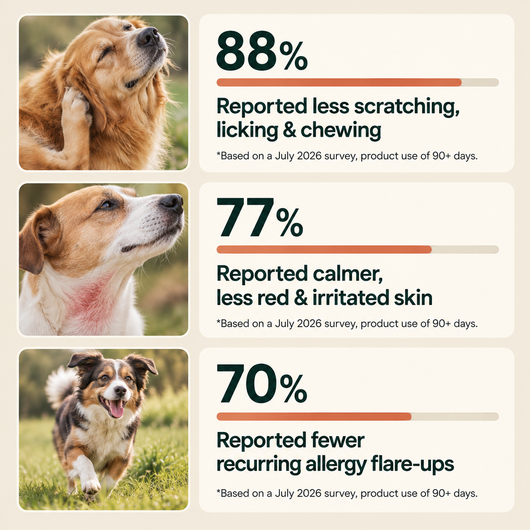 Anti-Itch & Allergy Treats