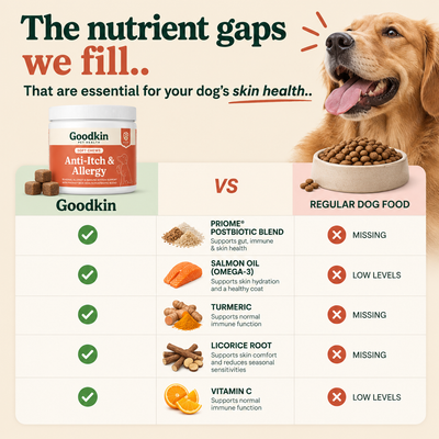 Anti-Itch & Allergy Treats
