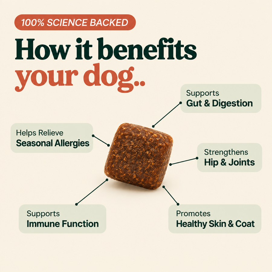 Goodkin Anti-Itch & Allergy