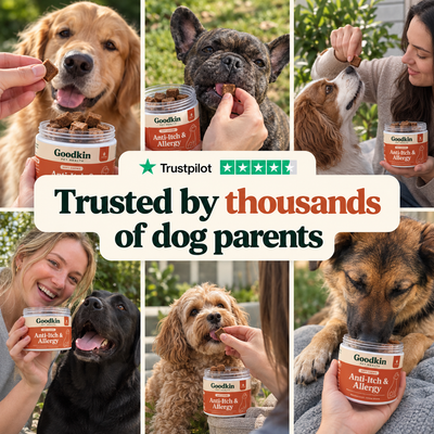 Anti-Itch & Allergy Treats