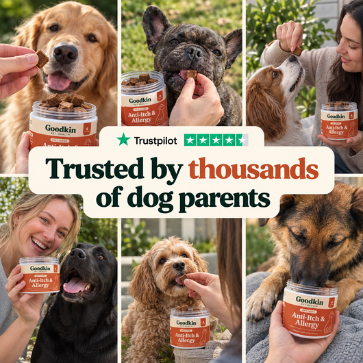 Anti-Itch & Allergy Treats
