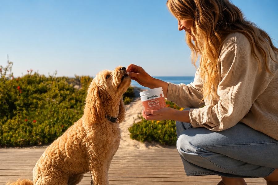Owner giving her dog a Goodkin chew outdoors