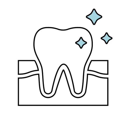 Clean Teeth & Healthy Gums