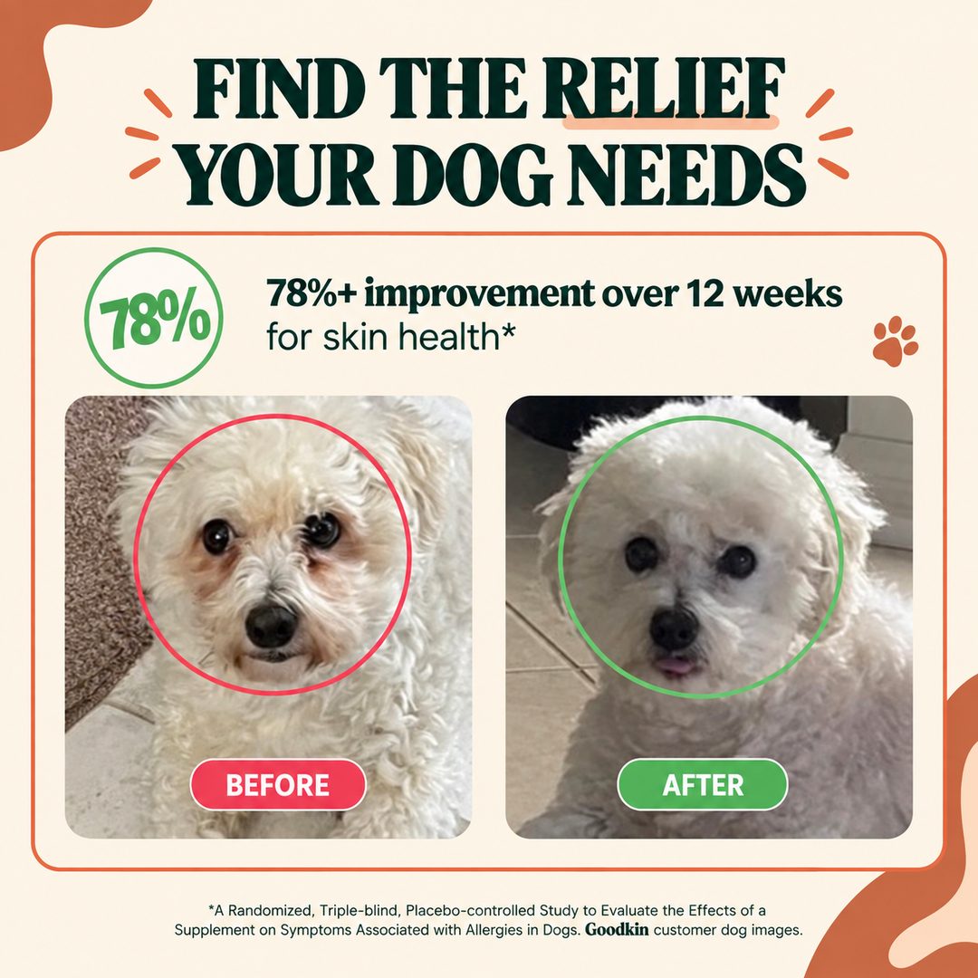 Before and after: a white dog's stained, irritated face looking clean - 78%+ improvement in skin health over 12 weeks