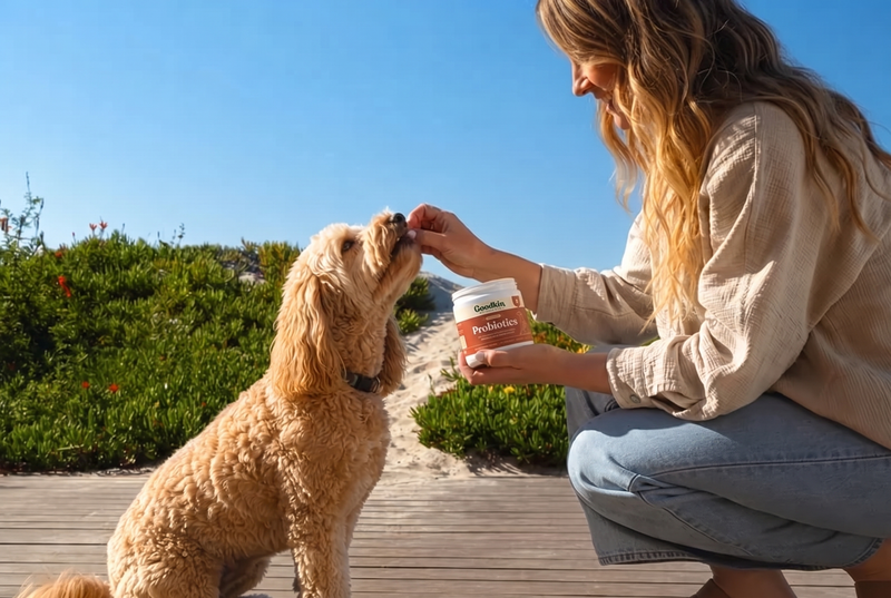 Pre + Pro + Postbiotics in a single daily treat.